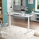 Load image into Gallery viewer, Premium Electric Standing Desk A3